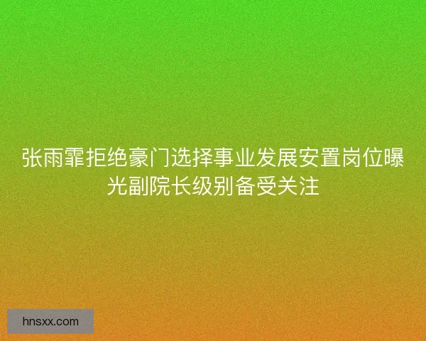张雨霏拒绝豪门选择事业发展安置岗位曝光副院长级别备受关注