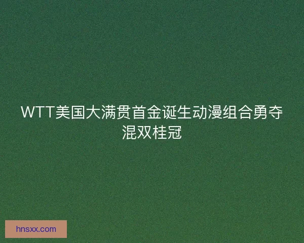 WTT美国大满贯首金诞生动漫组合勇夺混双桂冠
